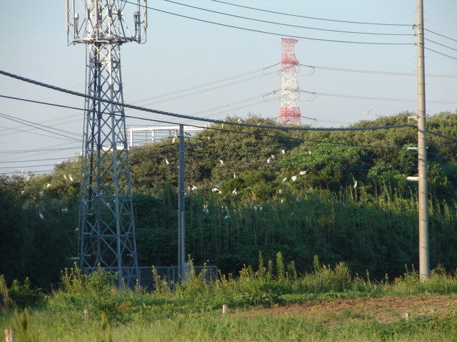 b0061261_21522763.jpg