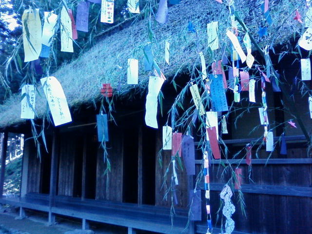 a0069270_1105353.jpg