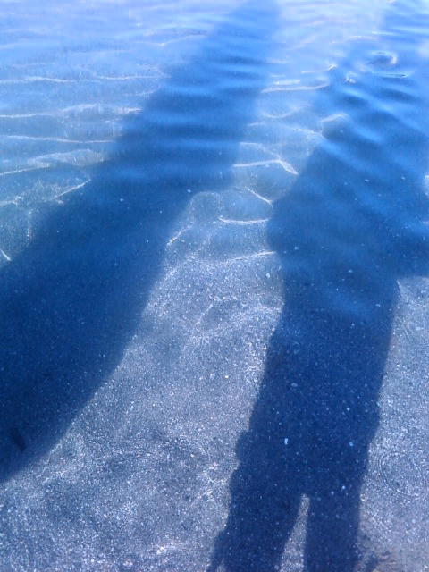 a0069270_1111770.jpg