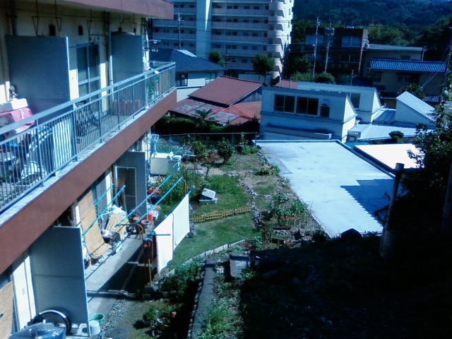 a0069270_1131618.jpg