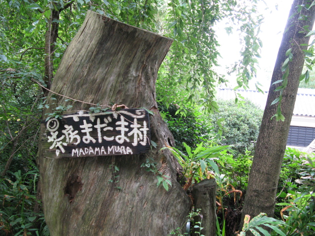d0052770_11292769.jpg
