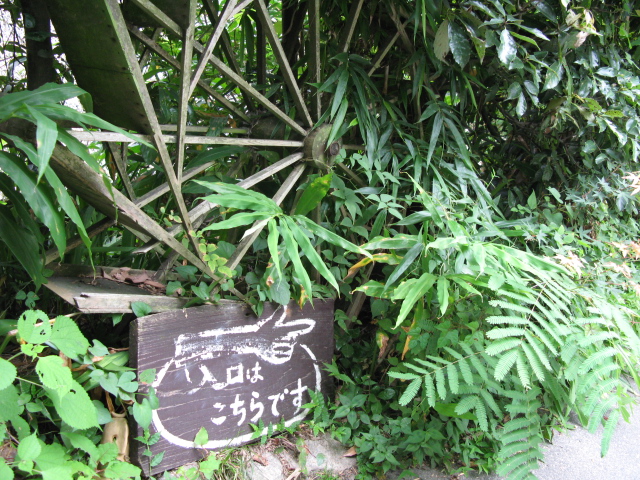 d0052770_11305534.jpg