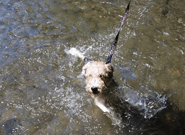 b0091373_1632389.gif