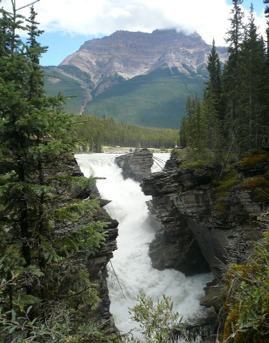 a0100975_6431930.jpg