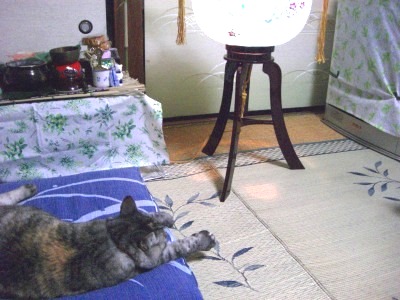 c0078480_23322276.jpg