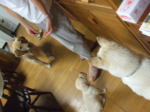 f0005081_1943020.jpg