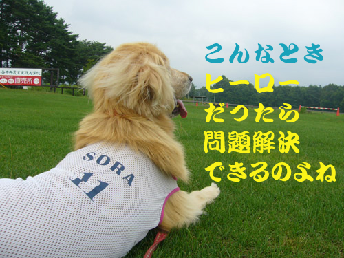 c0085188_20213021.jpg