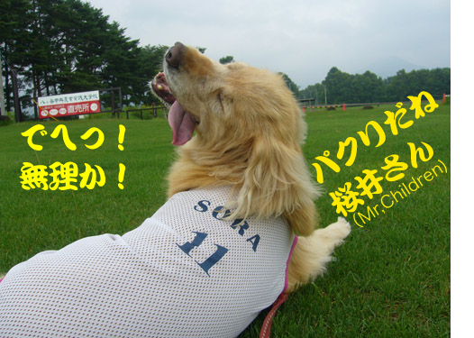 c0085188_20222757.jpg