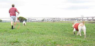c0028792_23312697.jpg