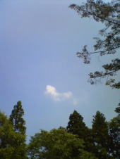 f0008692_242899.jpg