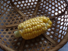 f0130894_218195.jpg