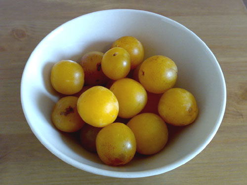 f0139994_335896.jpg