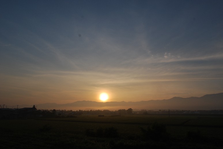 d0085096_8534927.jpg