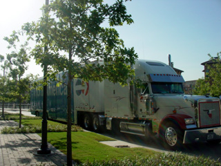 e0123596_89285.jpg