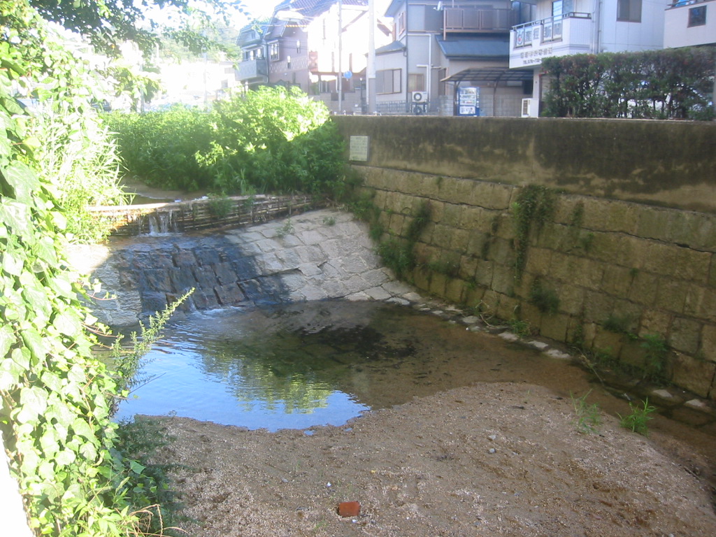 f0013998_23415414.jpg