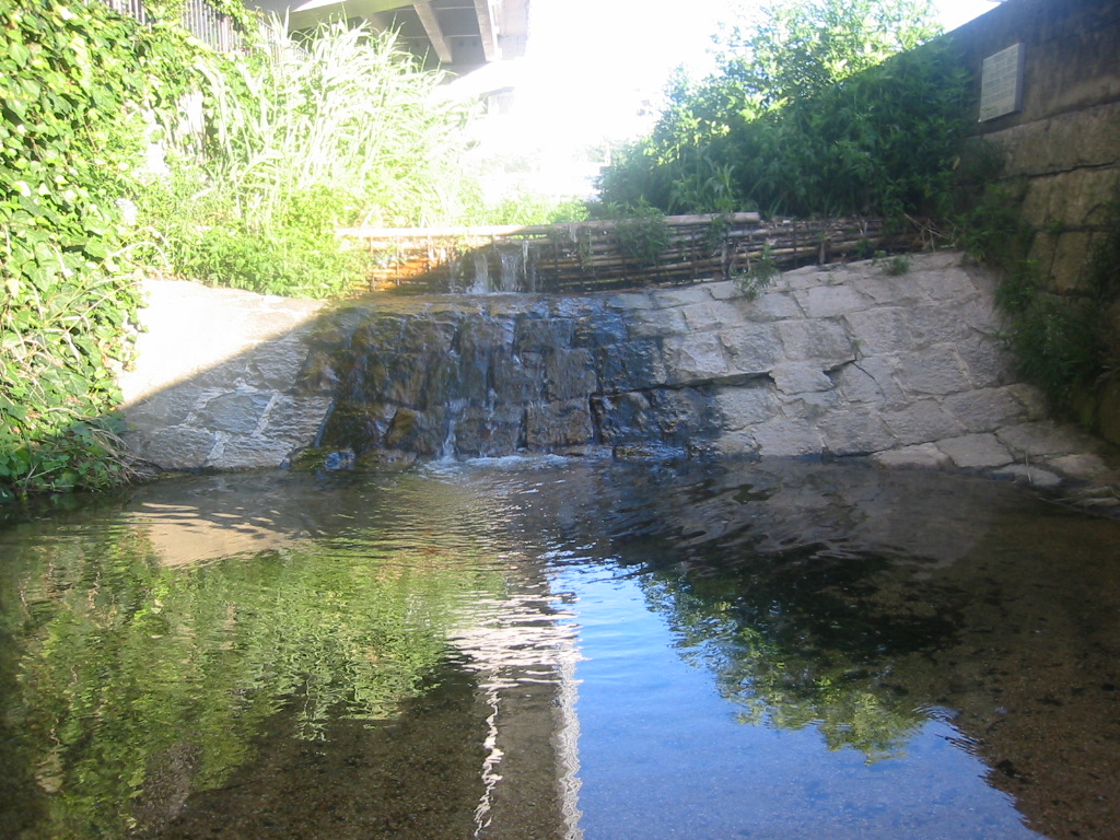 f0013998_23421652.jpg