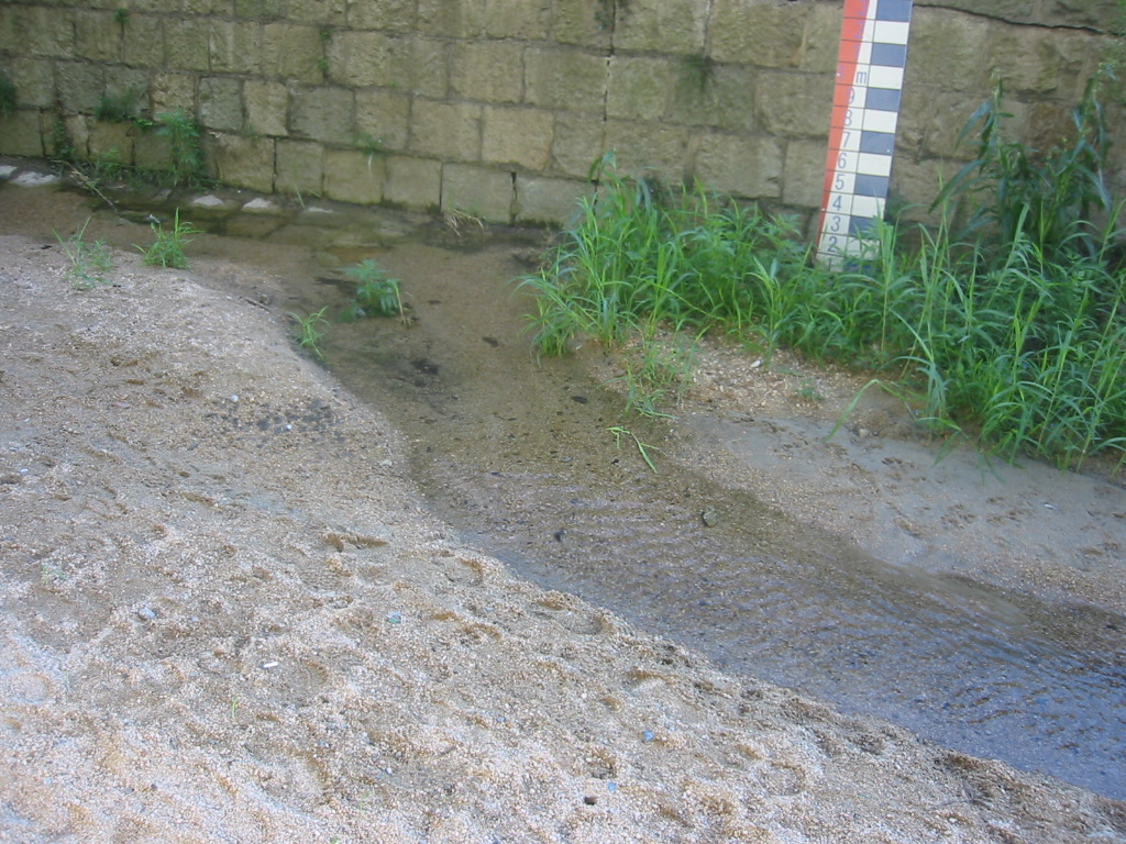 f0013998_2342527.jpg