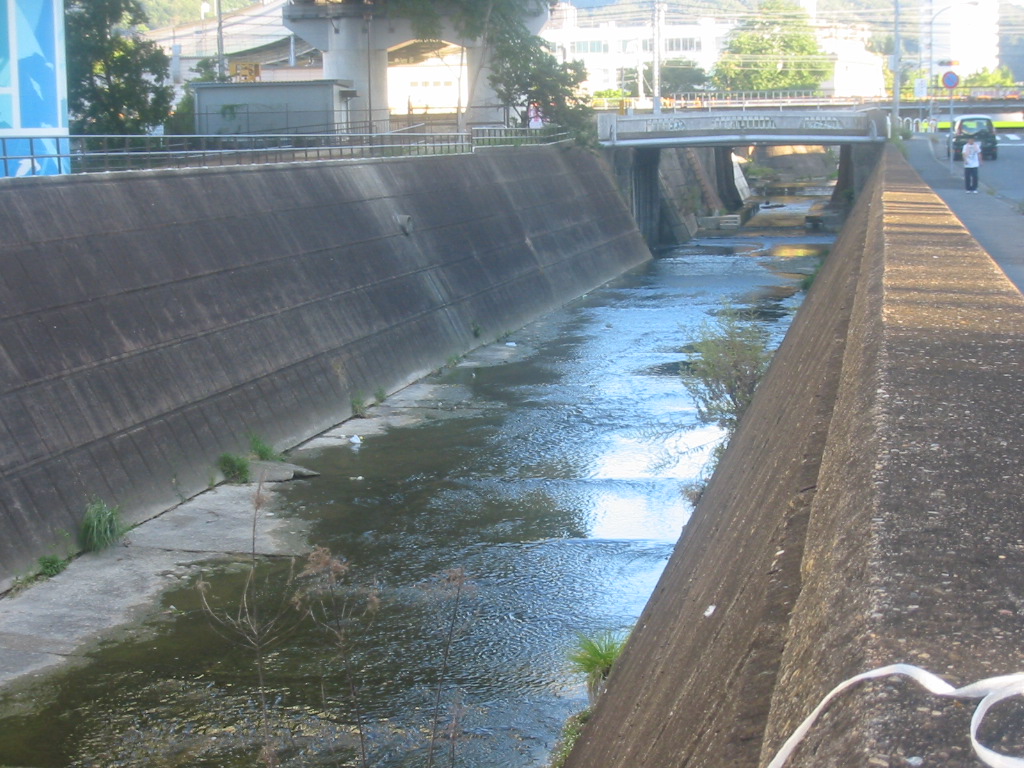 f0013998_23425830.jpg