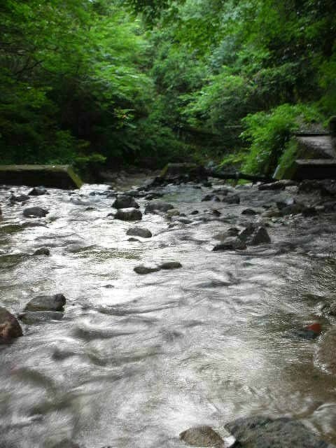 f0083400_8493050.jpg