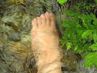 f0083400_9363314.jpg