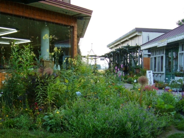 f0065604_205724.jpg