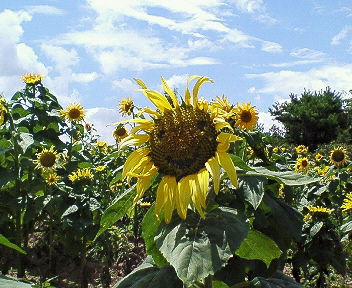 c0017505_21555162.jpg