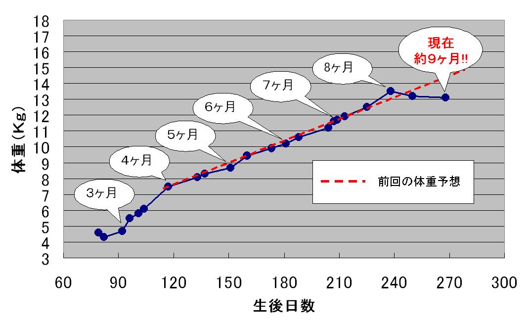 c0113109_1715466.jpg