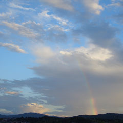 c0036617_16513763.jpg