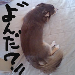c0036617_16521361.jpg