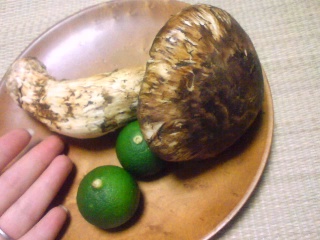 f0135923_11412343.jpg