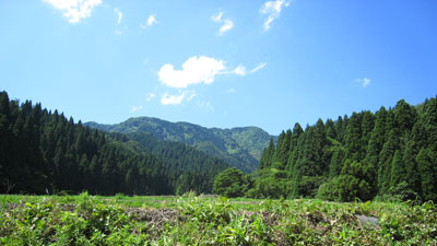 e0112226_14445639.jpg