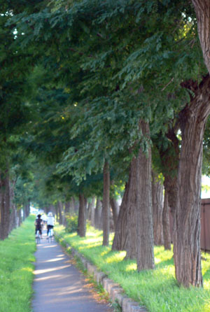 a0046429_1323342.jpg