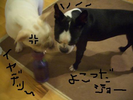c0132537_2204762.jpg