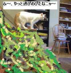 c0132537_303252.jpg