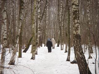 b0094239_1143623.jpg