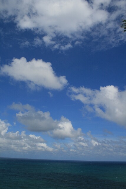 b0110348_20433449.jpg