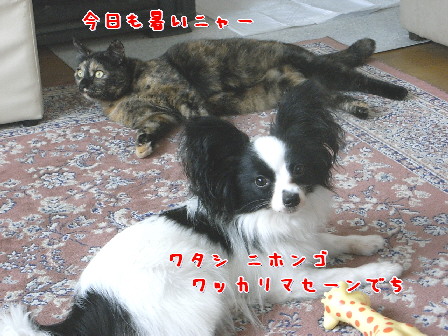 d0013149_2303168.jpg