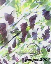b0059350_9421295.jpg