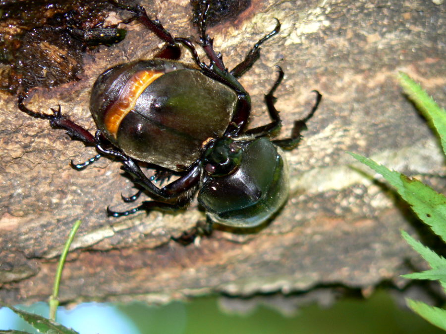 d0091754_17255338.jpg