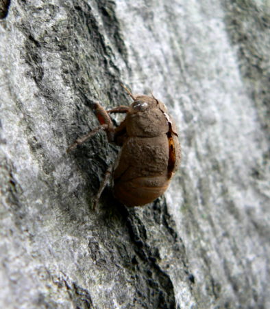 d0091754_23114082.jpg