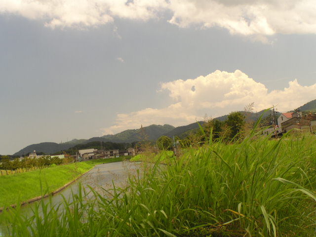 f0074659_1532439.jpg