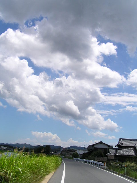f0074659_1534476.jpg