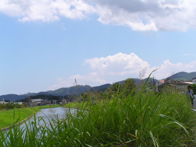 f0074659_15384414.jpg