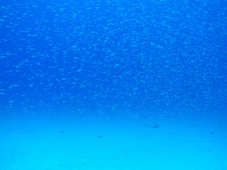 b0062363_20373843.jpg