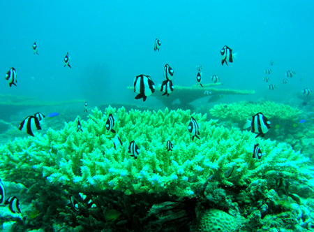b0062363_20394981.jpg