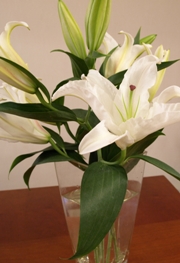 c0102268_2202785.jpg