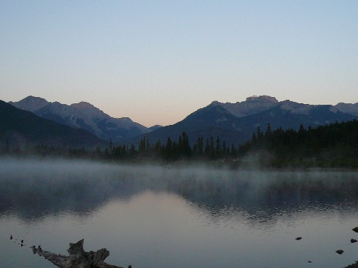 a0100975_975464.jpg