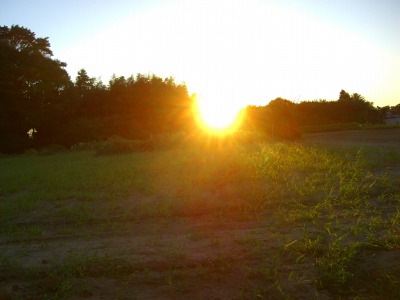 c0078480_024174.jpg