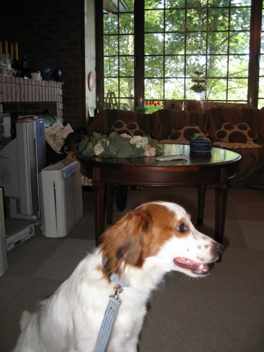 f0133681_201228100.jpg