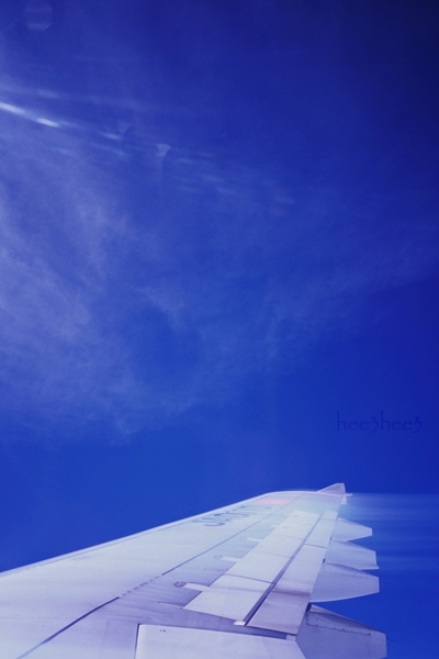 a0053783_7534760.jpg